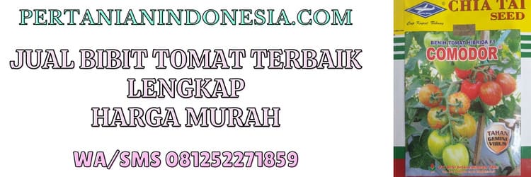 jual,bibit,jual bibit,jual bibit tomat,murah,pertanian indonesia